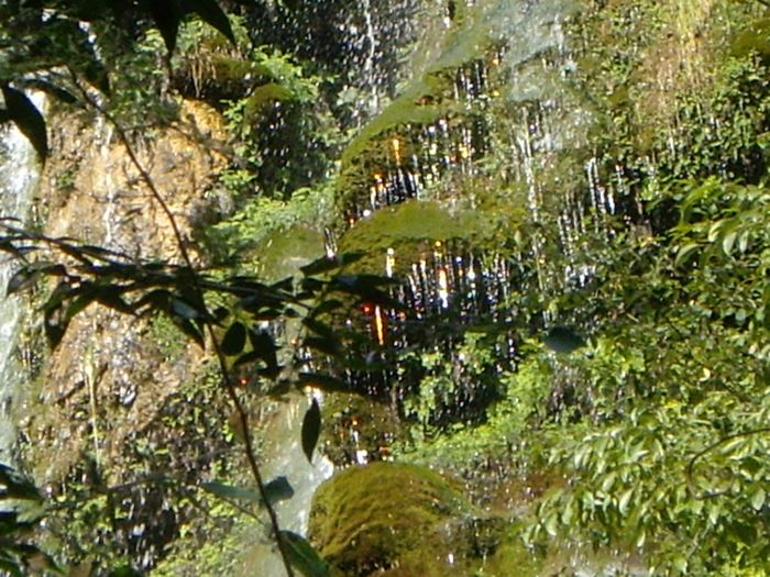 imgp2917.jpg