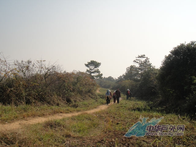 101108201258dd056fcaeb22b3.jpg