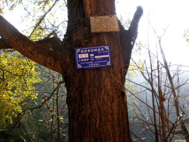 20101031_04.jpg