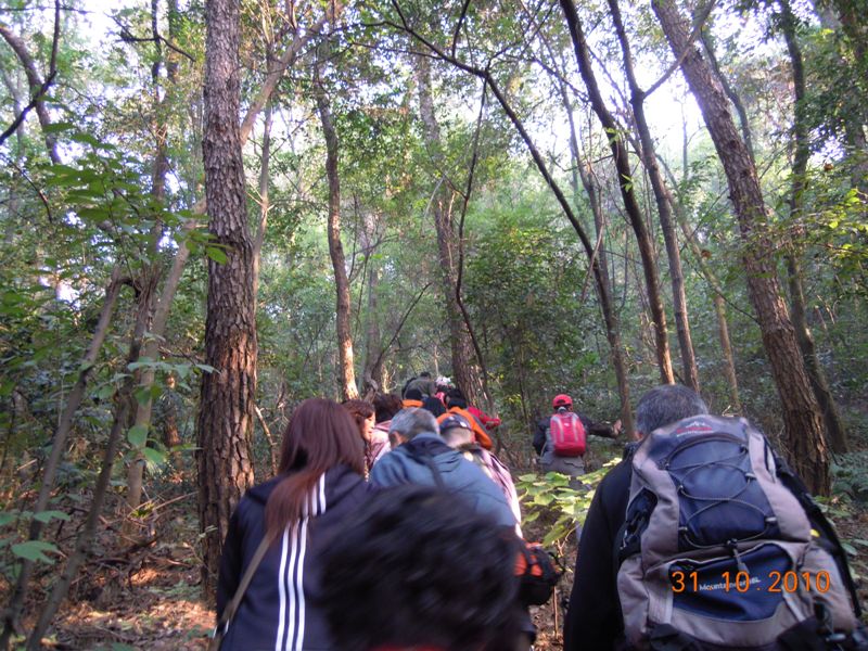 Ƭ 074.jpg