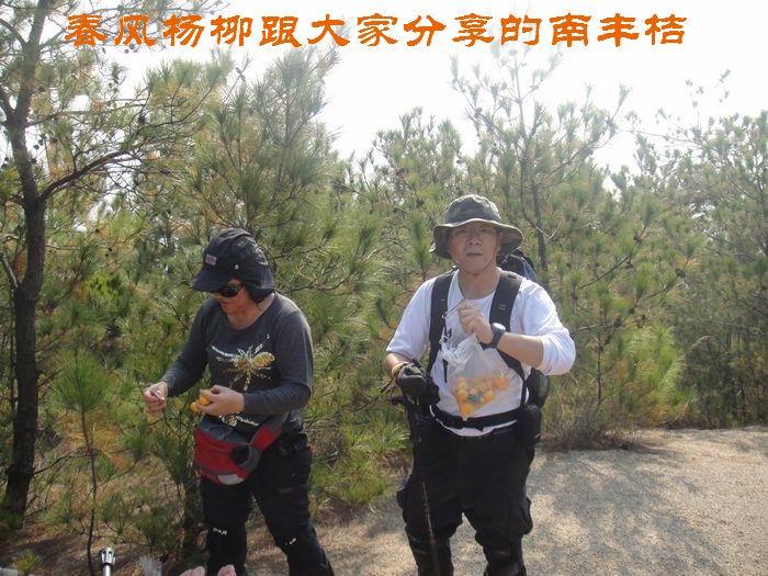 20101189562620738.jpg