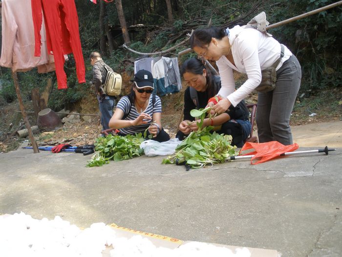 pa310257.jpg