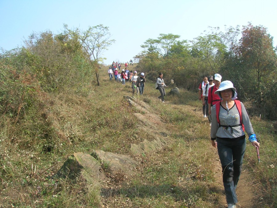 dscn4459.jpg