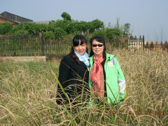 dscn0947.jpg