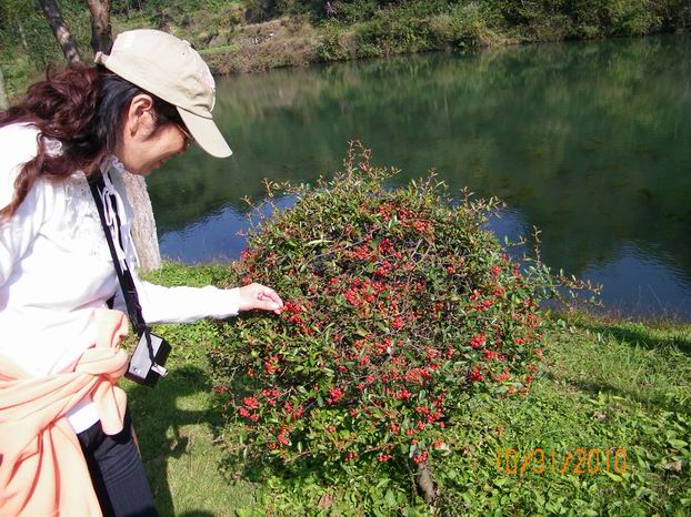 100_0068.jpg