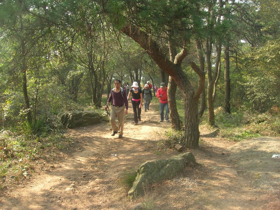 dscn44112.jpg
