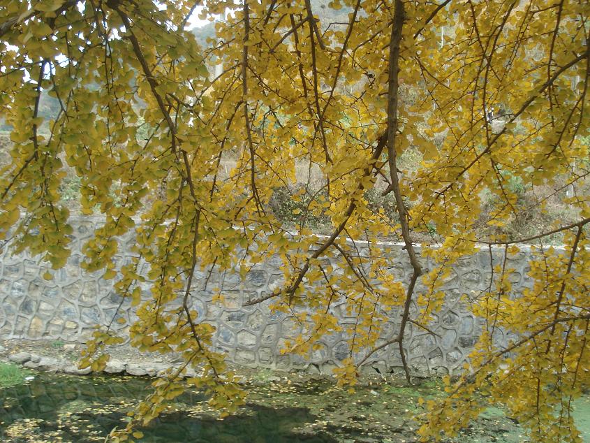 dsc03652.jpg