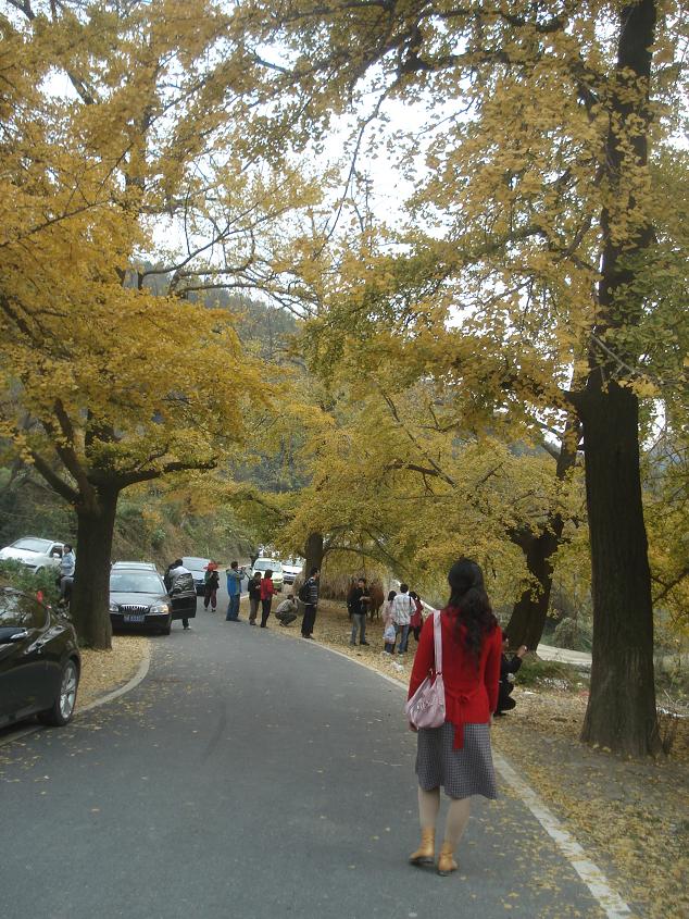 dsc03635.jpg