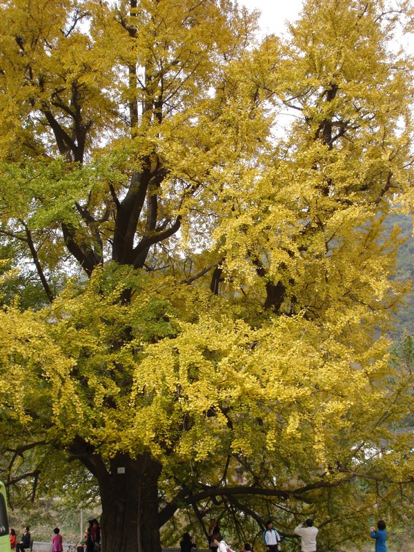 201011132231340589.jpg