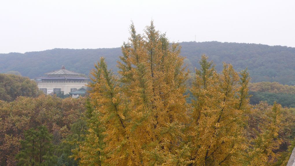 l1090111.jpg