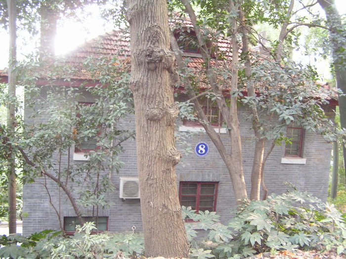 pict0056_С.jpg