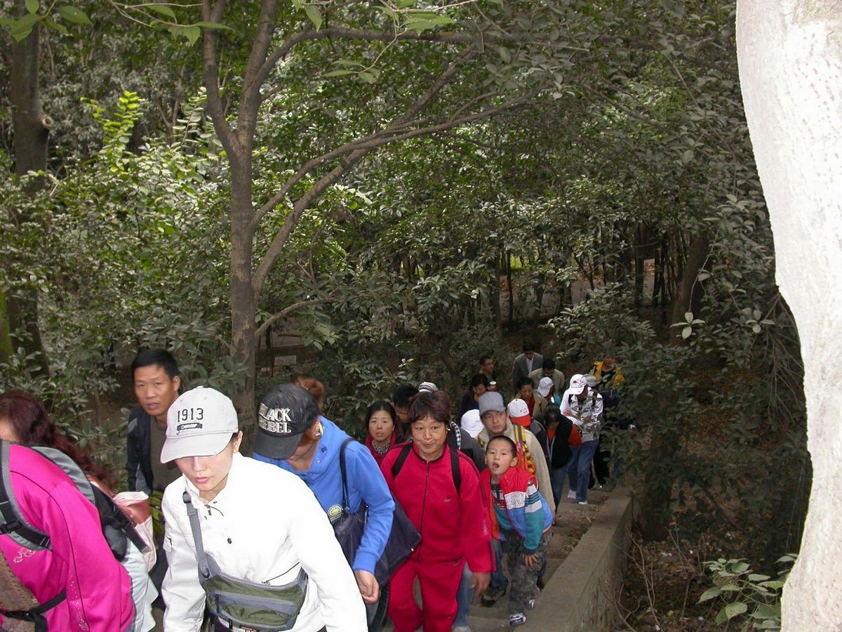 dscn0750.jpg