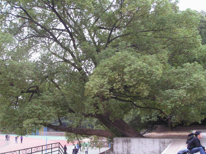 pict0113_С.jpg