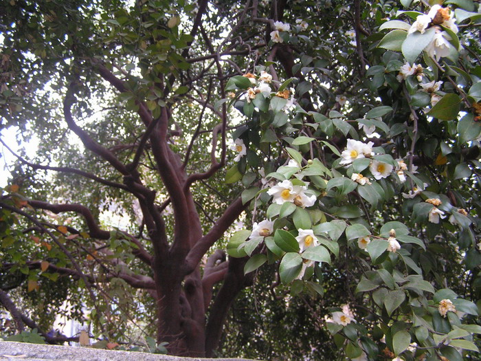pict0095_С.jpg