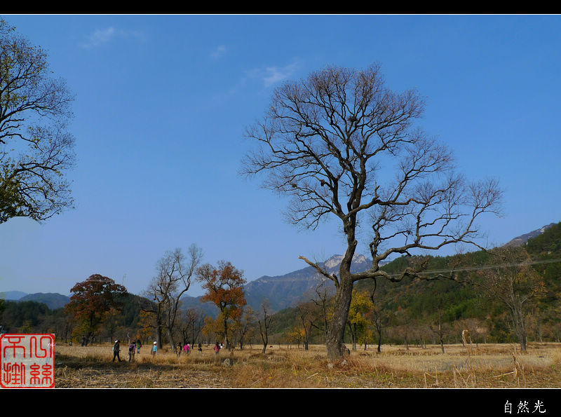 l1160415.jpg
