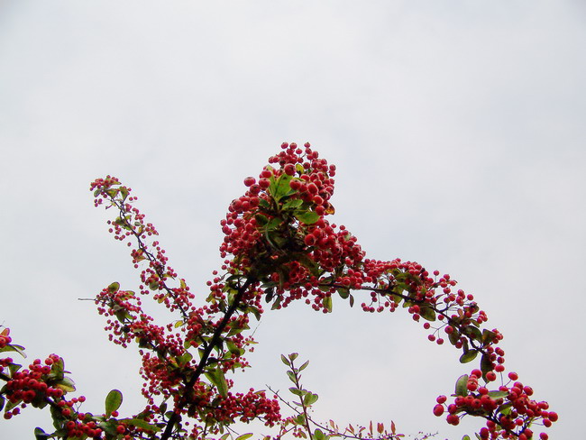 100_5180.jpg