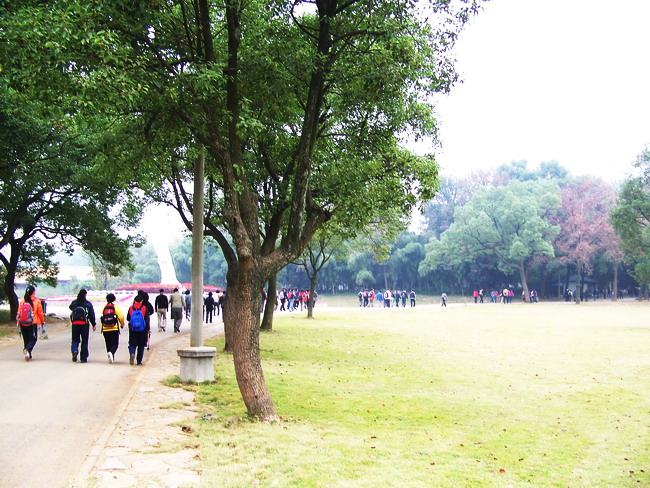 100_5125.jpg