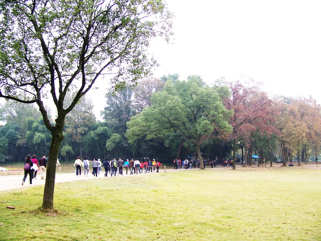 100_5126.jpg