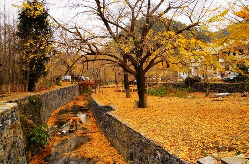 Ƭ 051.jpg