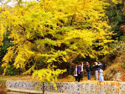 Ƭ 073.jpg