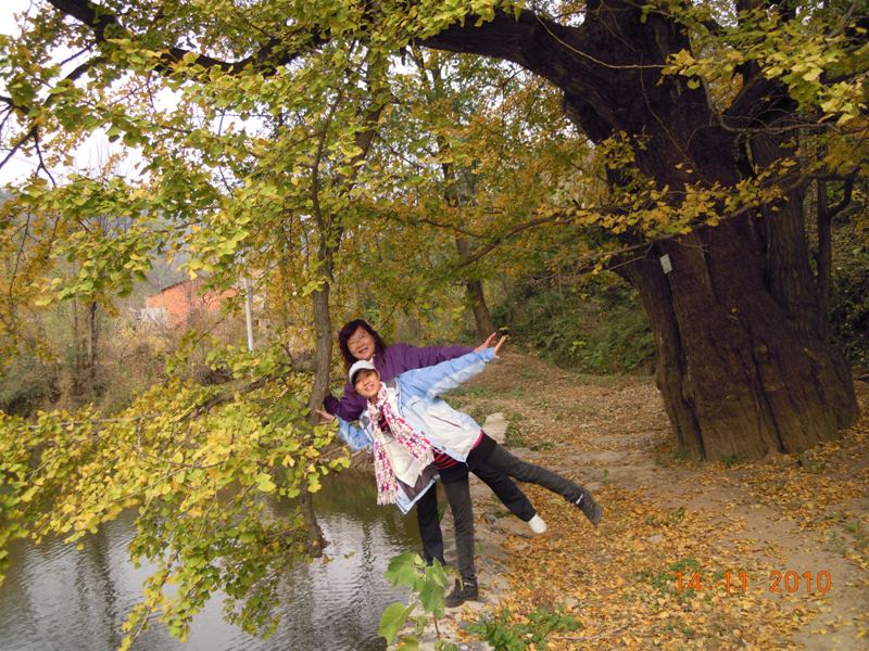 Ƭ 067.jpg