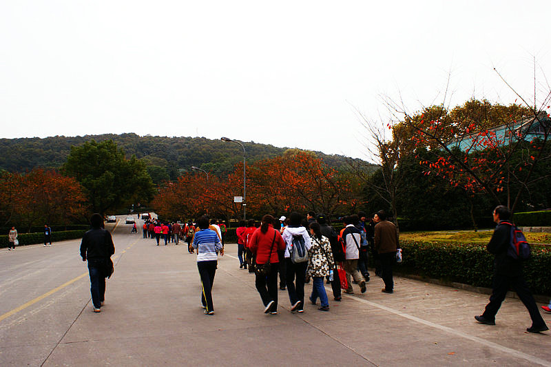 dsc03490.jpg