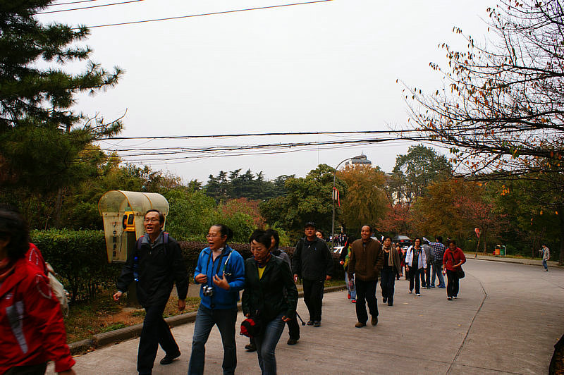 dsc03491.jpg