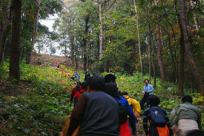 dsc03494.jpg