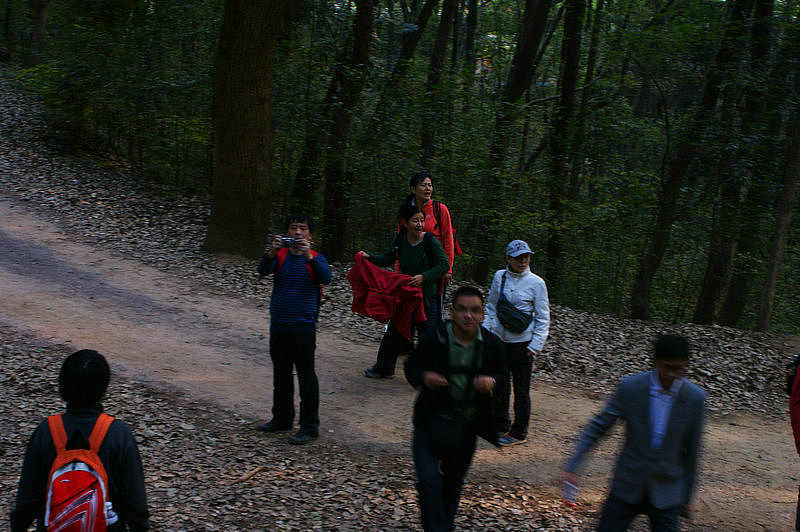 dsc03496.jpg
