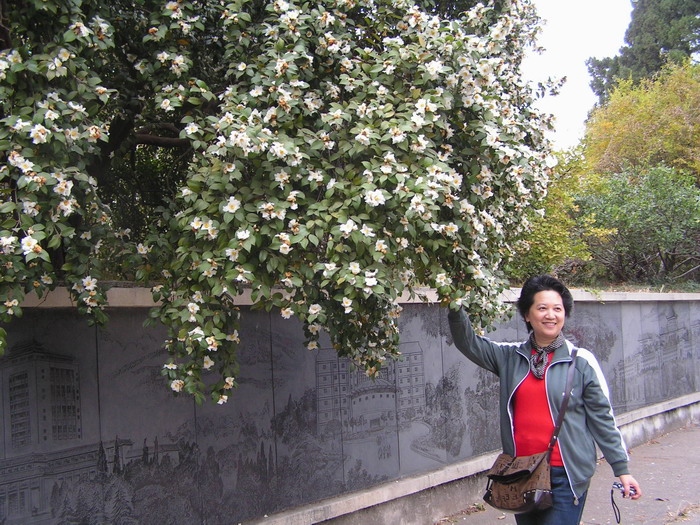 pict0096_С.jpg