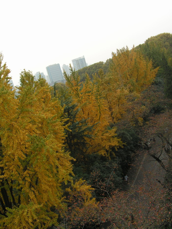 pict0072_С.jpg