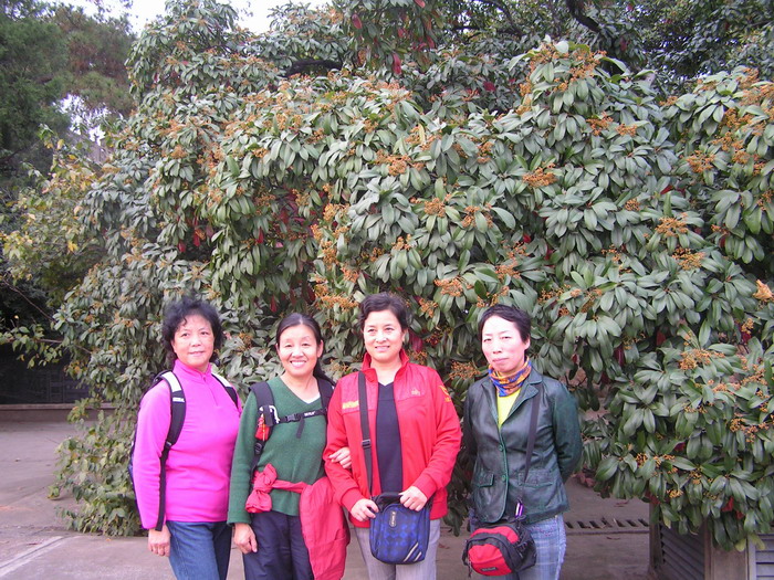 pict0086_С.jpg