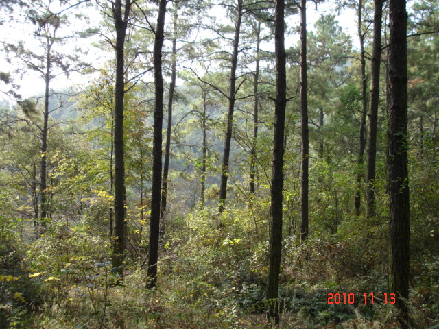dsc02240.jpg