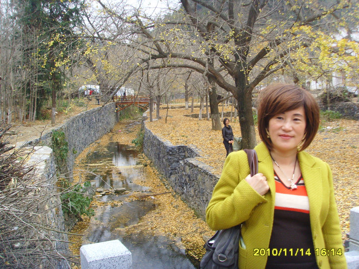 ssl28391_1.jpg
