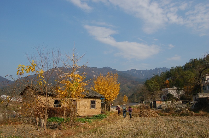 neo_img_dsc_0102.jpg