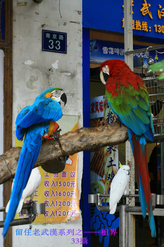 img_6135.jpg