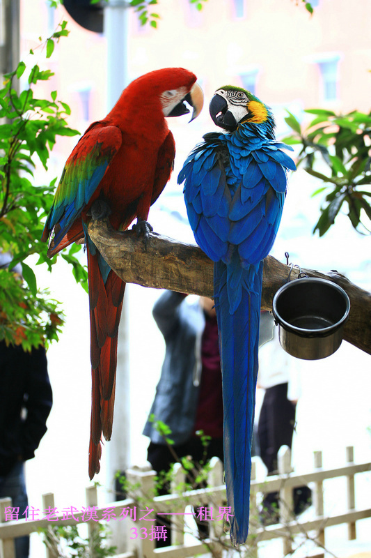 img_6113.jpg