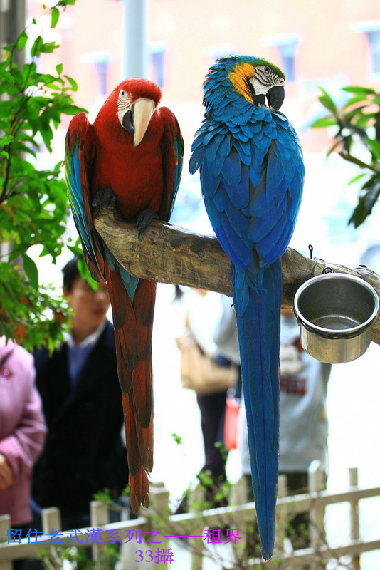 img_6115.jpg
