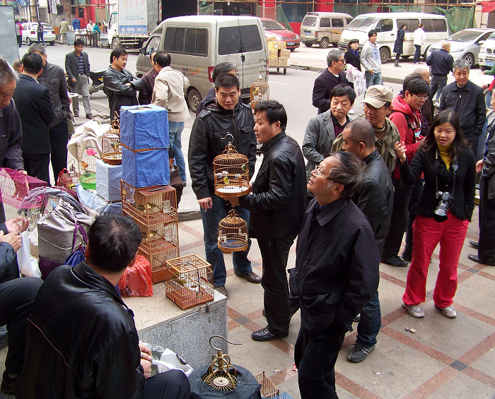 20101114cϽɨ (11).jpg