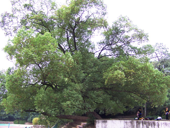 100_5512.jpg