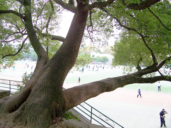 100_5534.jpg