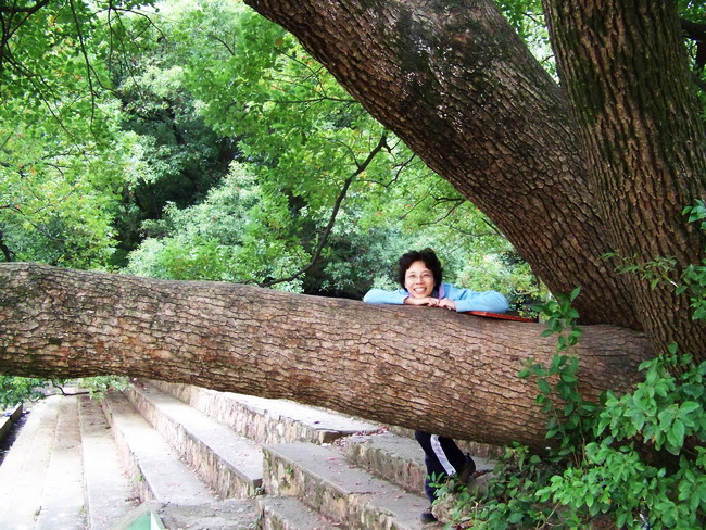 100_5519.jpg