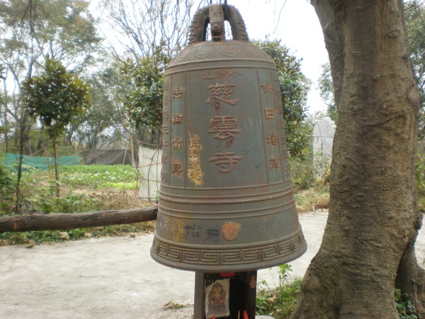 20101114_32.jpg
