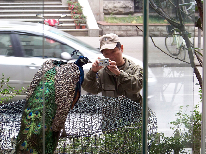 20101114nϾ· (18)ȸ.jpg
