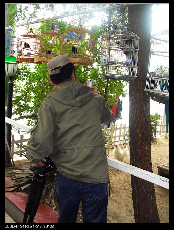 dscn9736.jpg