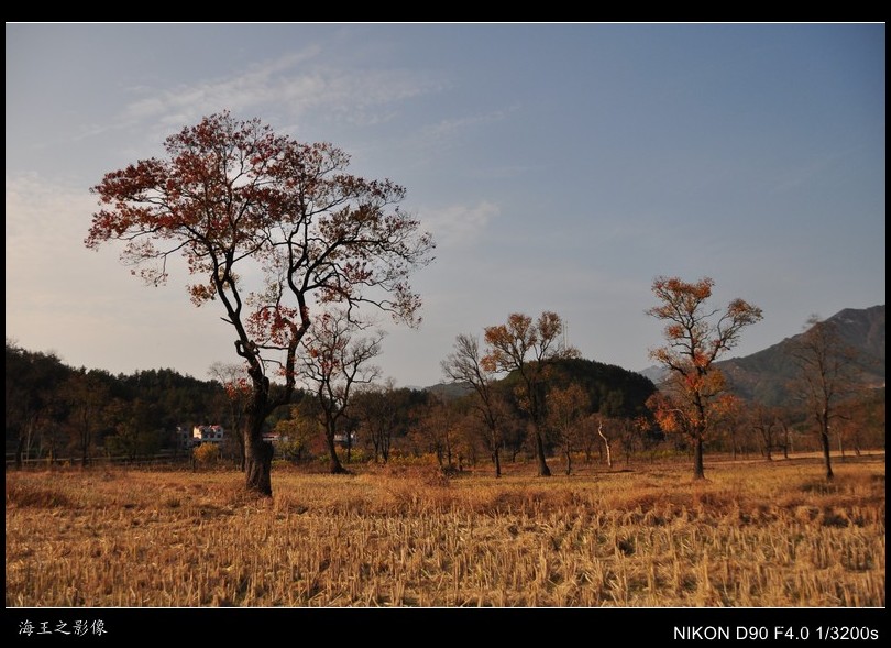 conew_neo_img_dsc_0303_conew1.jpg