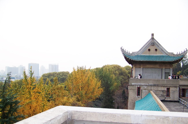 100_5450.jpg