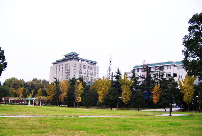 100_5602.jpg