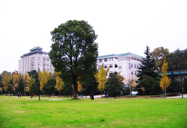 100_5607.jpg