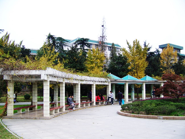100_5599.jpg